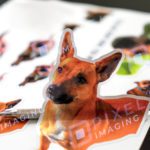 Sticker sheets Calgary: A sheet of custom stickers featuring a pet dog.